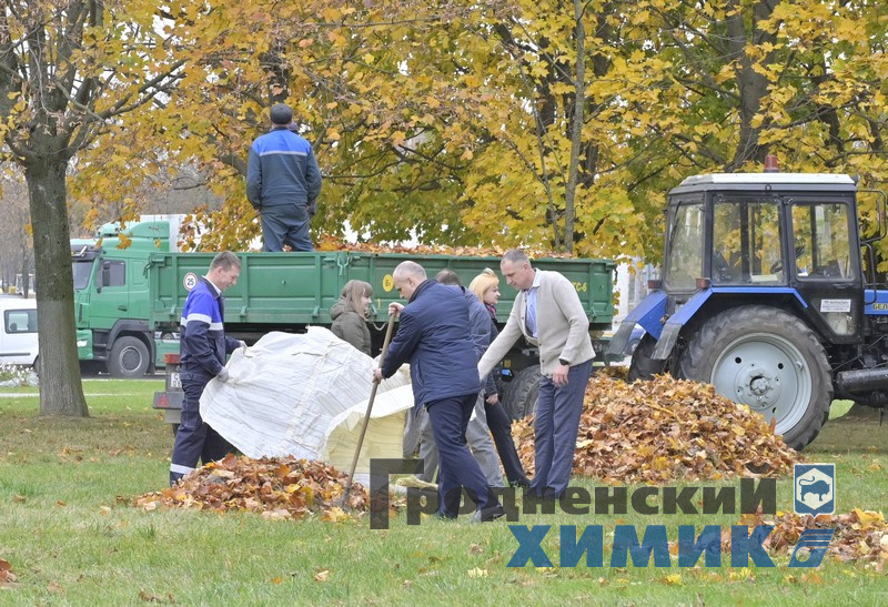 4566768798090 (4).jpg